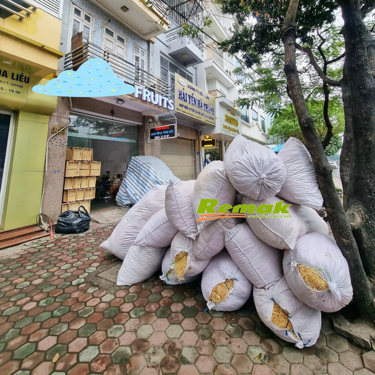 Sợi len gỗ thông Remak Woodlen™ – “bí mật hữu cơ” mà các shop trái cây, nhà vườn, quán ăn… không muốn cho bạn biết